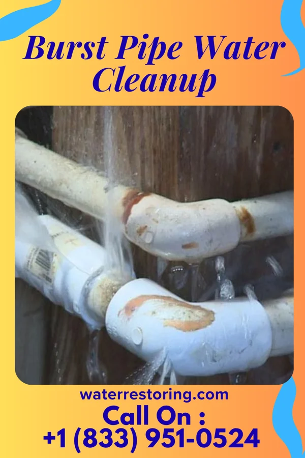 Burst Pipe Water Cleanup in Patterson, OH