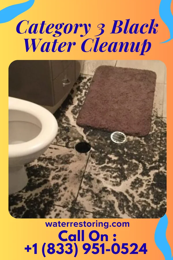 Category 3 Black Water Cleanup in Patterson, OH