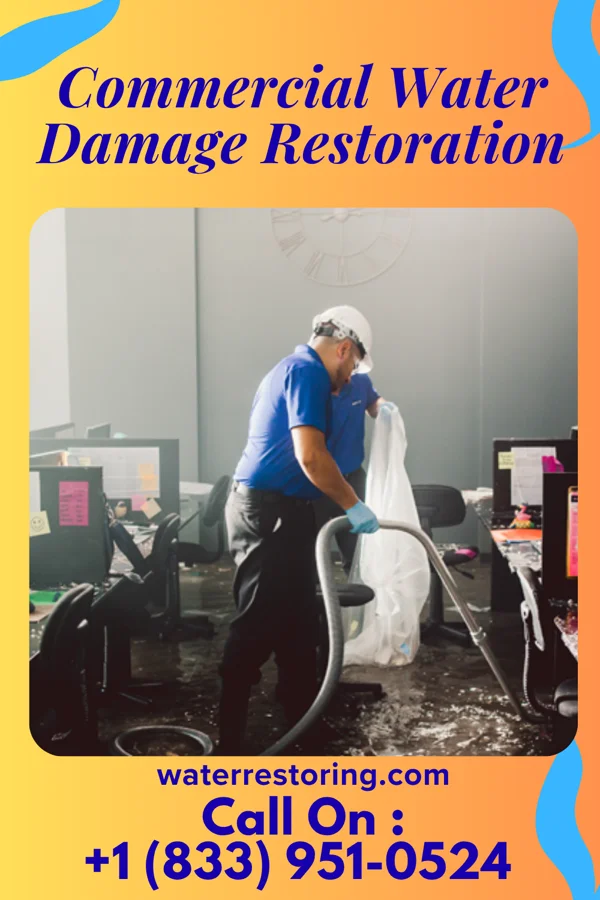 Commercial Water Damage Restoration in Patterson, OH
