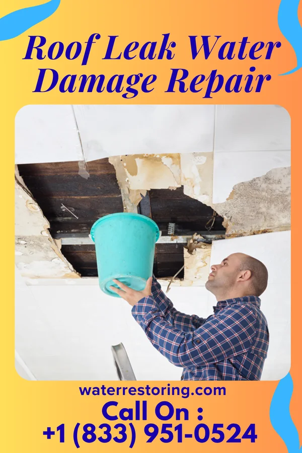 Roof Leak Water Damage Repair in Patterson, OH