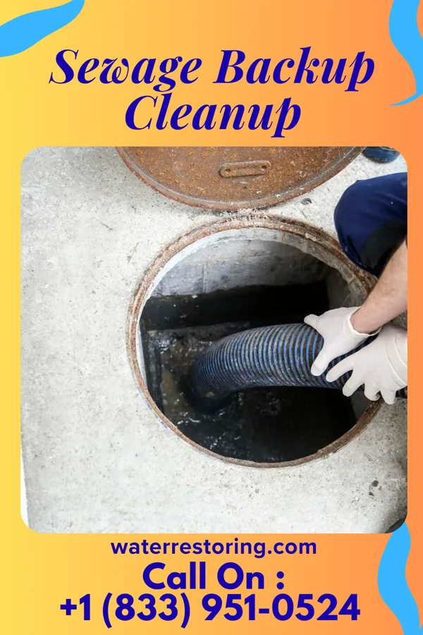 Sewage Backup Cleanup in Patterson, OH
